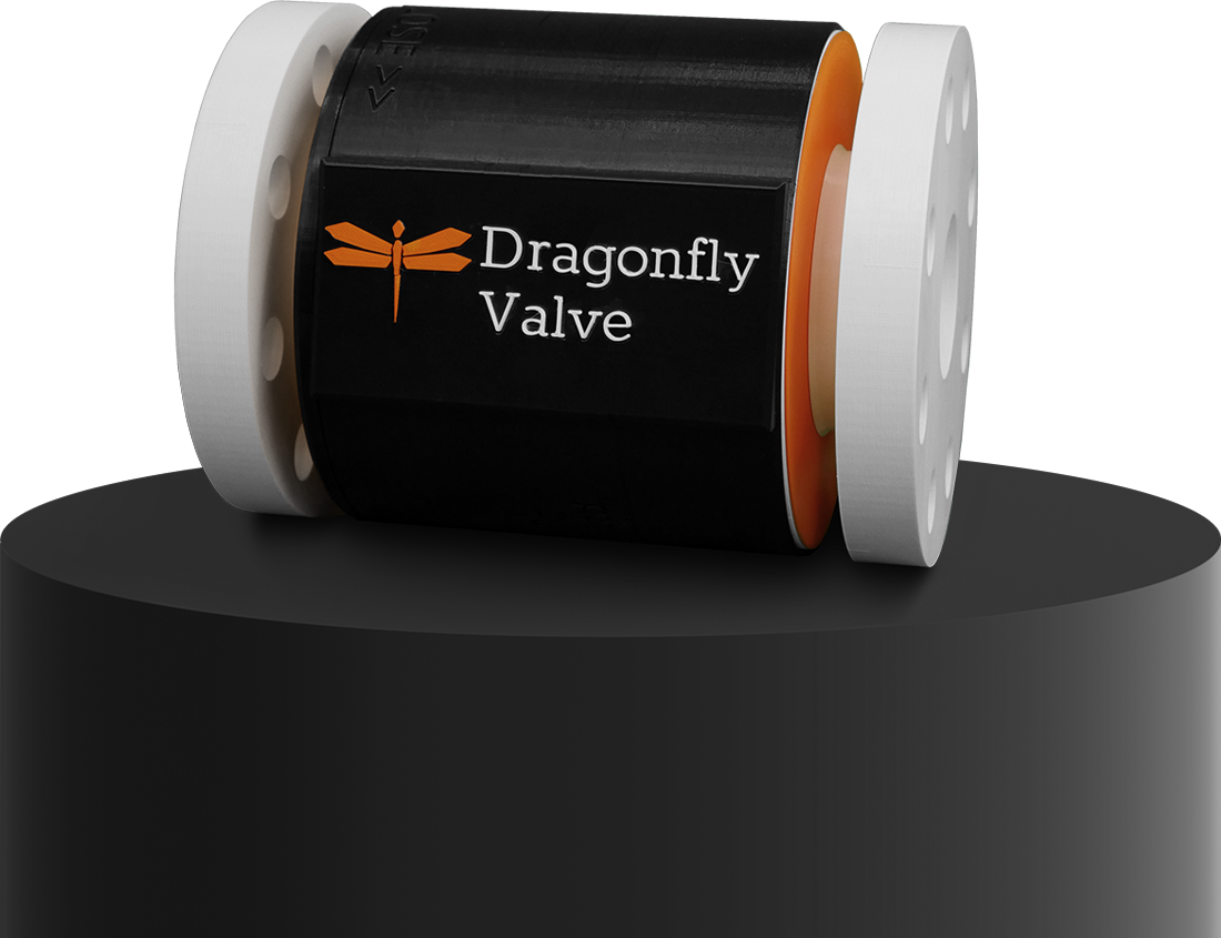 Photo of the Dragonfly Valve